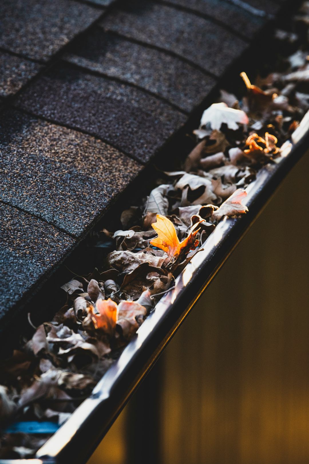 LexingtonKYGutters